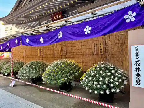 湯島天満宮(東京都)