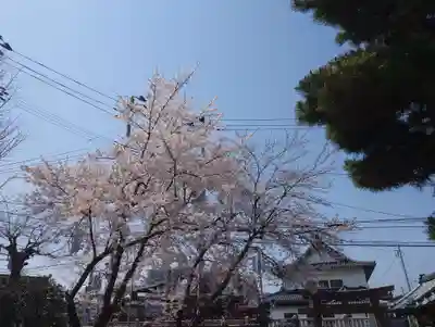 乙子神社(新潟県)