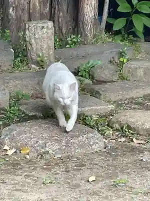 久國神社(東京都)