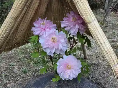 當麻寺 奥院(奈良県)