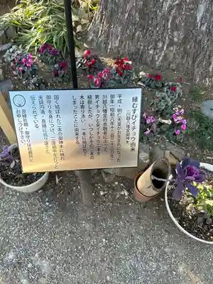 川越八幡宮(埼玉県)