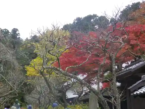 東慶寺の景色