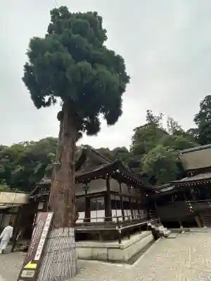 大神神社(奈良県)