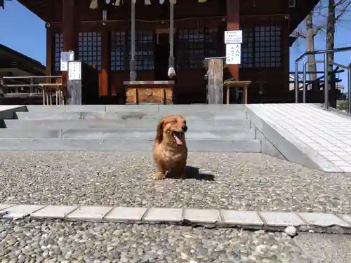 杉杜白髭神社(福井県)