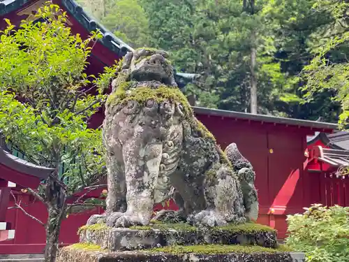 箱根神社の狛犬