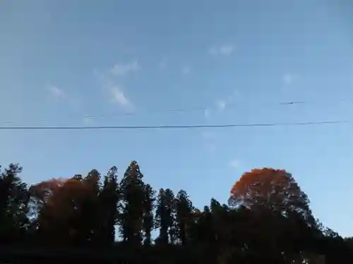 都々古別神社(八槻)の自然