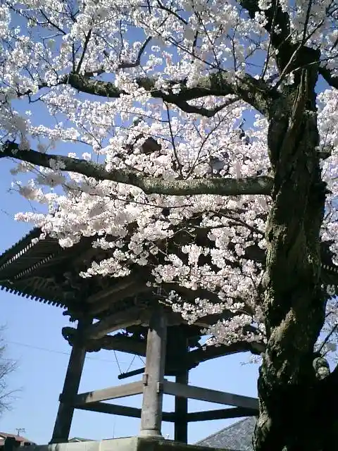 光明寺のその他建物