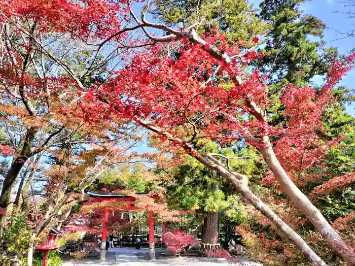 鍬山神社(京都府)