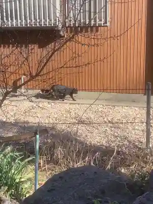 愛宕神社（横須賀）(愛知県)