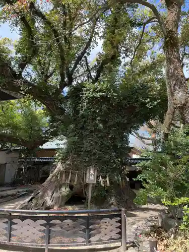 筥崎宮(福岡県)