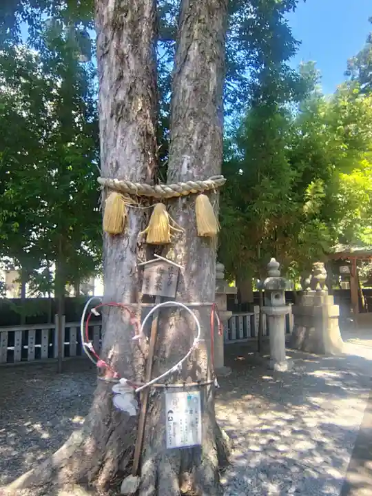 小汐井神社(滋賀県)