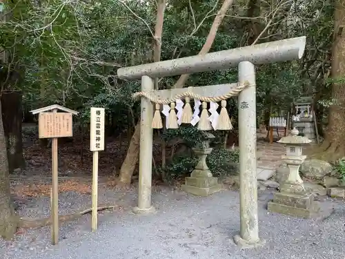 椿大神社の鳥居