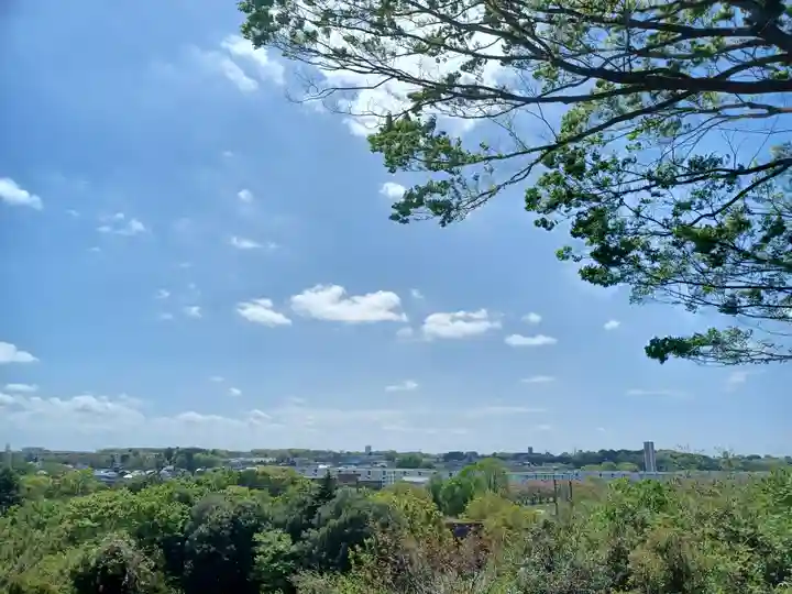 城山神社(埼玉県)