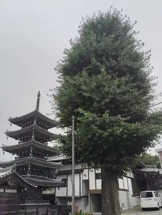 光徳院(東京都)