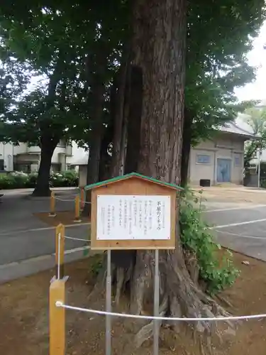 千住神社のその他建物