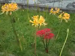 横浜　西方寺(神奈川県)