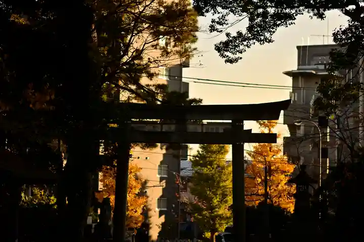 玉川神社の鳥居
