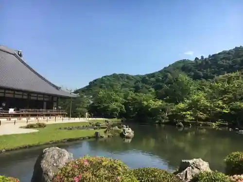 天龍寺の庭園