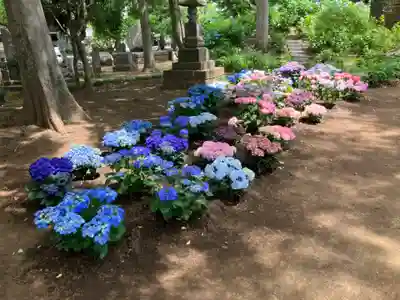 長命寺(東京都)