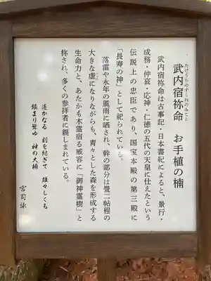 住吉神社(山口県)