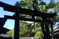 明治神宮(東京都)