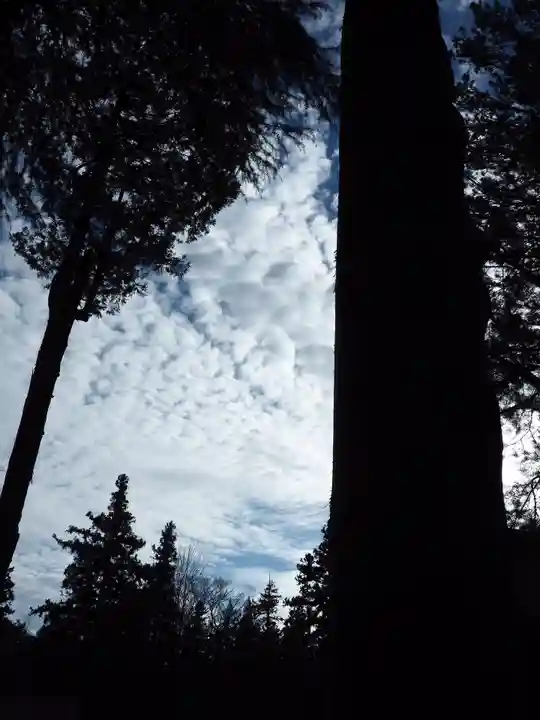 諏訪大社下社秋宮の自然