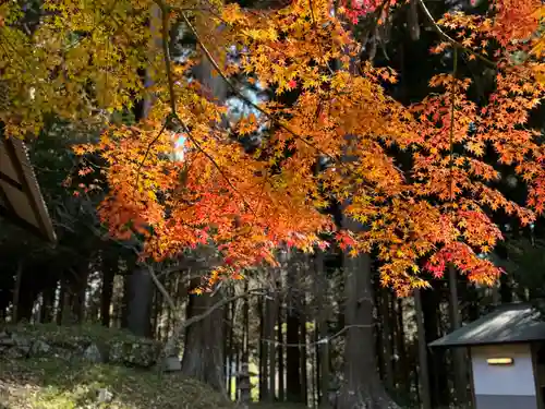 新海三社神社(長野県)