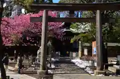 荏原神社の鳥居