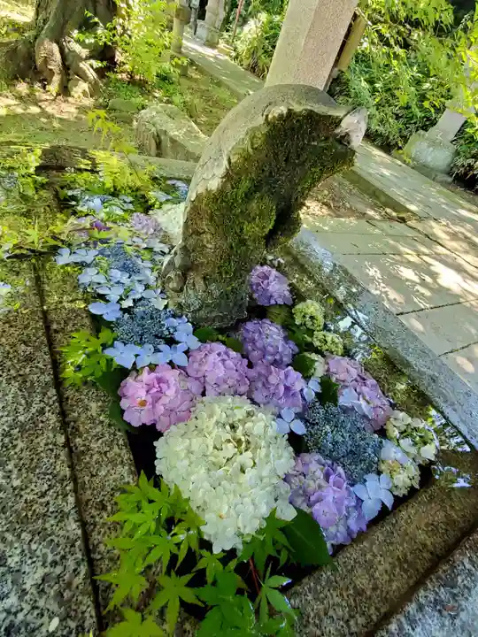 神炊館神社 ⁂奥州須賀川総鎮守⁂の手水舎