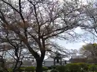 福井別院本瑞寺(福井県)