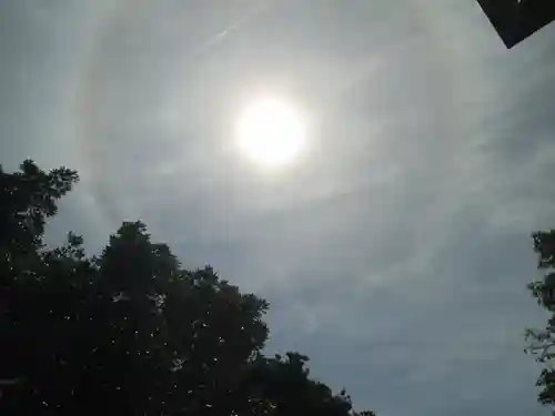 屋久島大社の自然