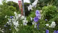 岡部春日神社~👹鬼門よけの🌺花咲く🌺やしろ~(福島県)