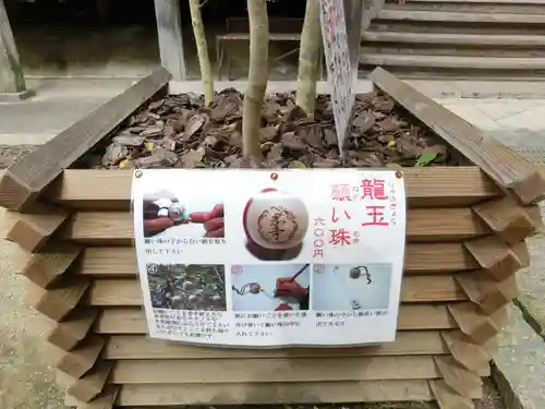 岡寺（龍蓋寺）の授与品その他