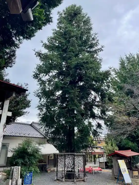 鶴峯八幡宮(茨城県)