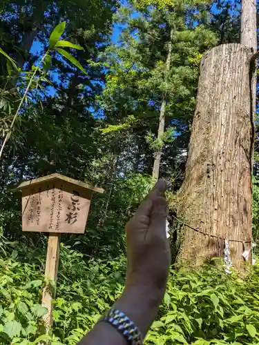 本宮神社（日光二荒山神社別宮）(栃木県)