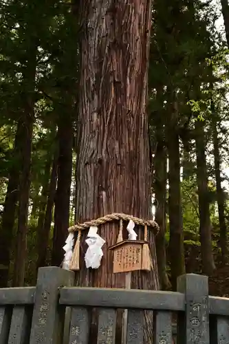 諏訪大社下社春宮(長野県)