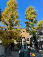 東貫森稲荷神社(東京都)