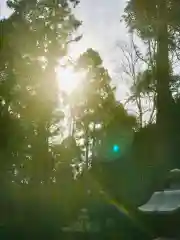 大宮神社の自然