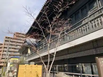 神明大神（中丸子神社）の{uncategorized: "未分類", other: "その他", undefined: "問題あり", building: "その他建物", grave: "お墓", sacred_gate: "鳥居", guardian: "狛犬", statue: "像", buddha: "仏像", history: "歴史", nature: "自然", garden: "庭園", animal: "動物", pagoda: "塔", temizu: "手水舎", mountain_gate: "山門・神門", sanctuary: "本殿・本堂", subordinate: "末社・摂社", art: "芸術", scenery: "景色", jizo: "地蔵", ema: "絵馬", goshuin: "御朱印", omikuji: "おみくじ", items: "授与品その他", amulet: "お守り", goshuincho: "御朱印帳", eats: "食事", festival: "お祭り", votive_dance: "神楽", shichigosan: "七五三参", wedding: "結婚式", experience: "体験その他", initially: "初詣", around: "周辺", anti_infection: "感染症対策"}