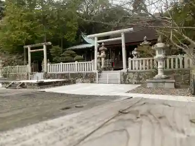 賀集八幡神社の{uncategorized: "未分類", other: "その他", undefined: "問題あり", building: "その他建物", grave: "お墓", sacred_gate: "鳥居", guardian: "狛犬", statue: "像", buddha: "仏像", history: "歴史", nature: "自然", garden: "庭園", animal: "動物", pagoda: "塔", temizu: "手水舎", mountain_gate: "山門・神門", sanctuary: "本殿・本堂", subordinate: "末社・摂社", art: "芸術", scenery: "景色", jizo: "地蔵", ema: "絵馬", goshuin: "御朱印", omikuji: "おみくじ", items: "授与品その他", amulet: "お守り", goshuincho: "御朱印帳", eats: "食事", festival: "お祭り", votive_dance: "神楽", shichigosan: "七五三参", wedding: "結婚式", experience: "体験その他", initially: "初詣", around: "周辺", anti_infection: "感染症対策"}