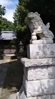 久伊豆神社の狛犬