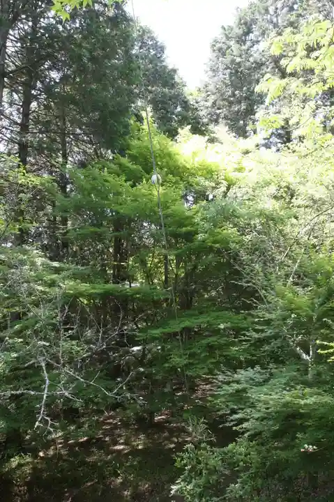 園養寺(滋賀県)