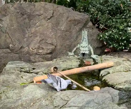 壬生寺(京都府)