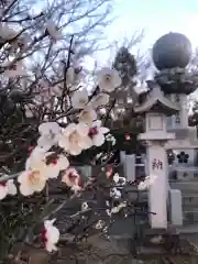 大生郷天満宮の自然