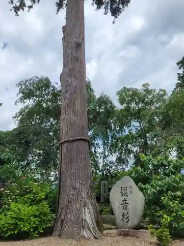 観音寺(京都府)