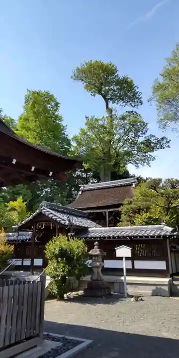 今宮神社(花園今宮神社)の本殿・本堂