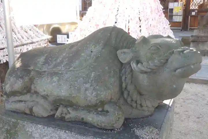 吉祥院天満宮の狛犬