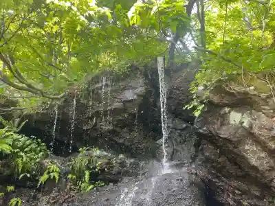 戸隠神社奥社(長野県)