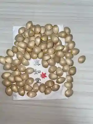 真正極楽寺(真如堂)の授与品その他