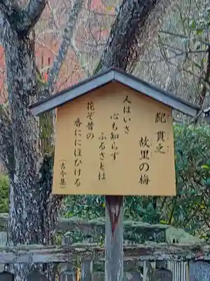 長谷寺(奈良県)